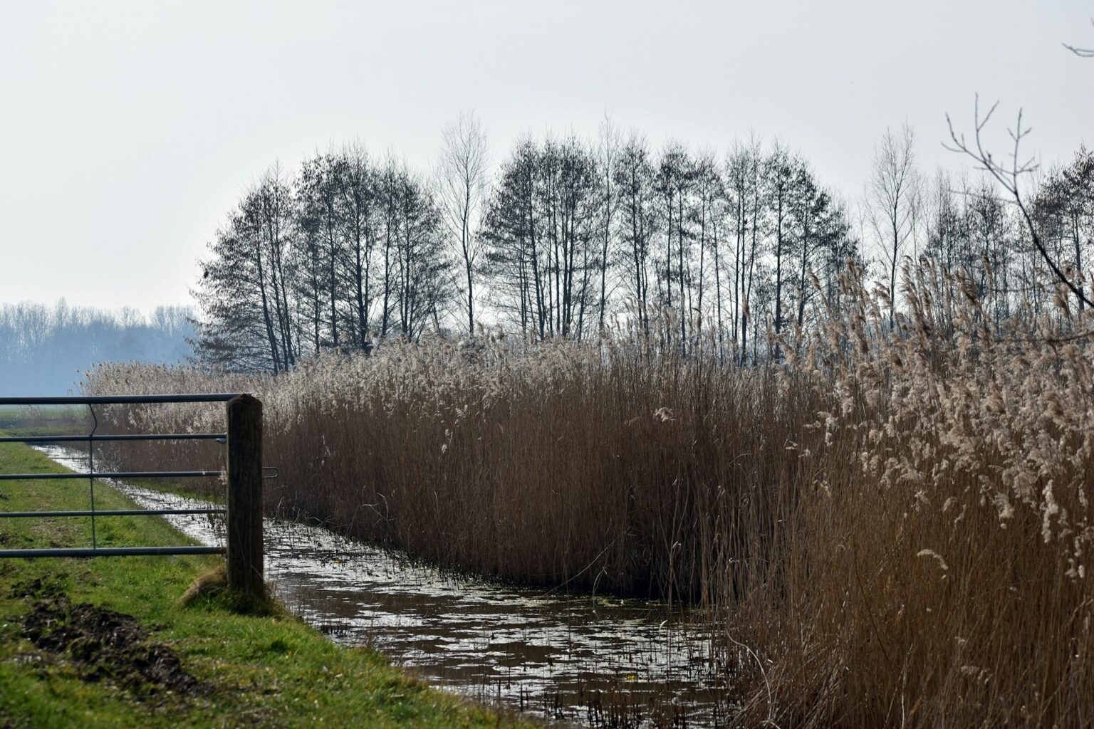 WHAT ARE MANURE LAGOONS? - Livestock Water & Energy